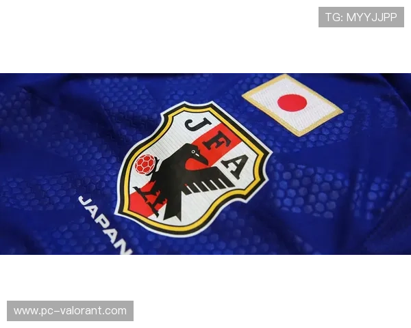 曼城发布新款队徽印花训练服